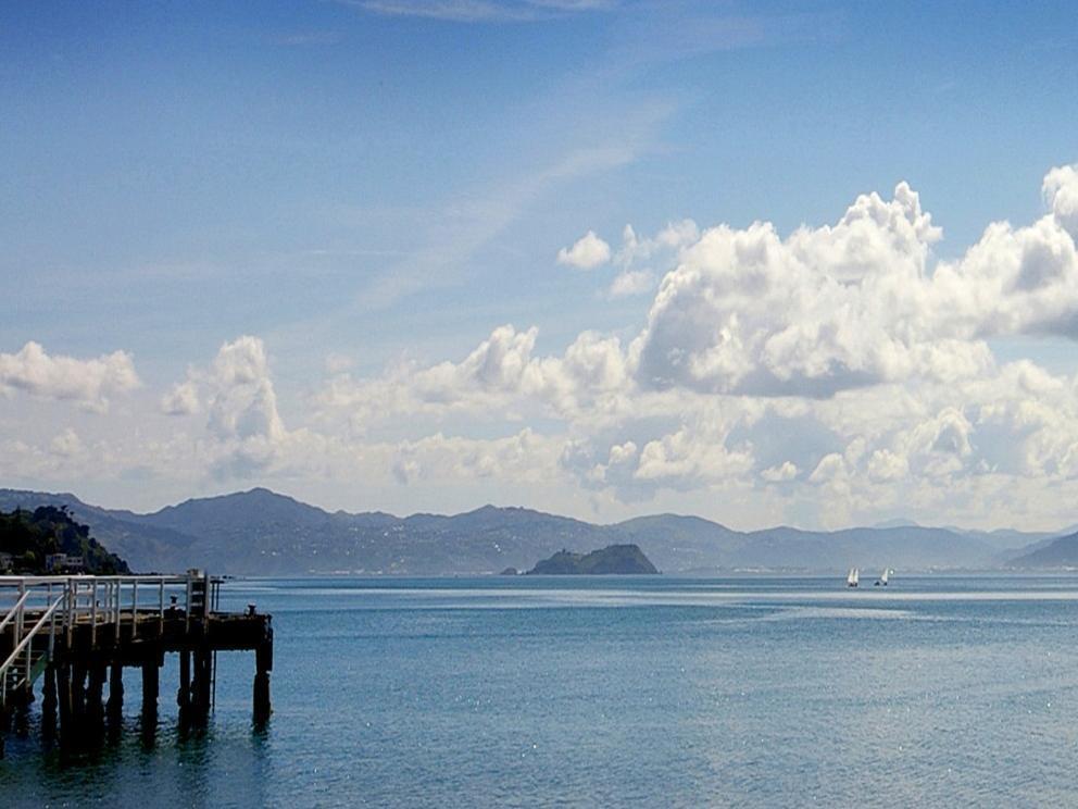 Beachfront Wellington Bed And Breakfast Екстер'єр фото