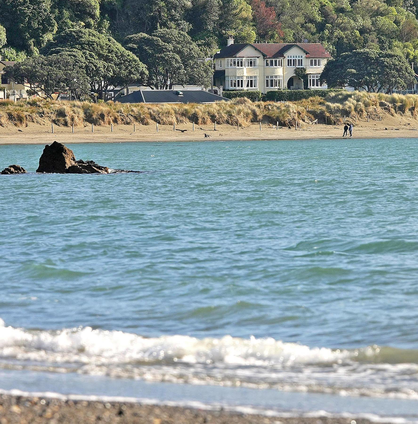 Beachfront Wellington Bed And Breakfast Екстер'єр фото