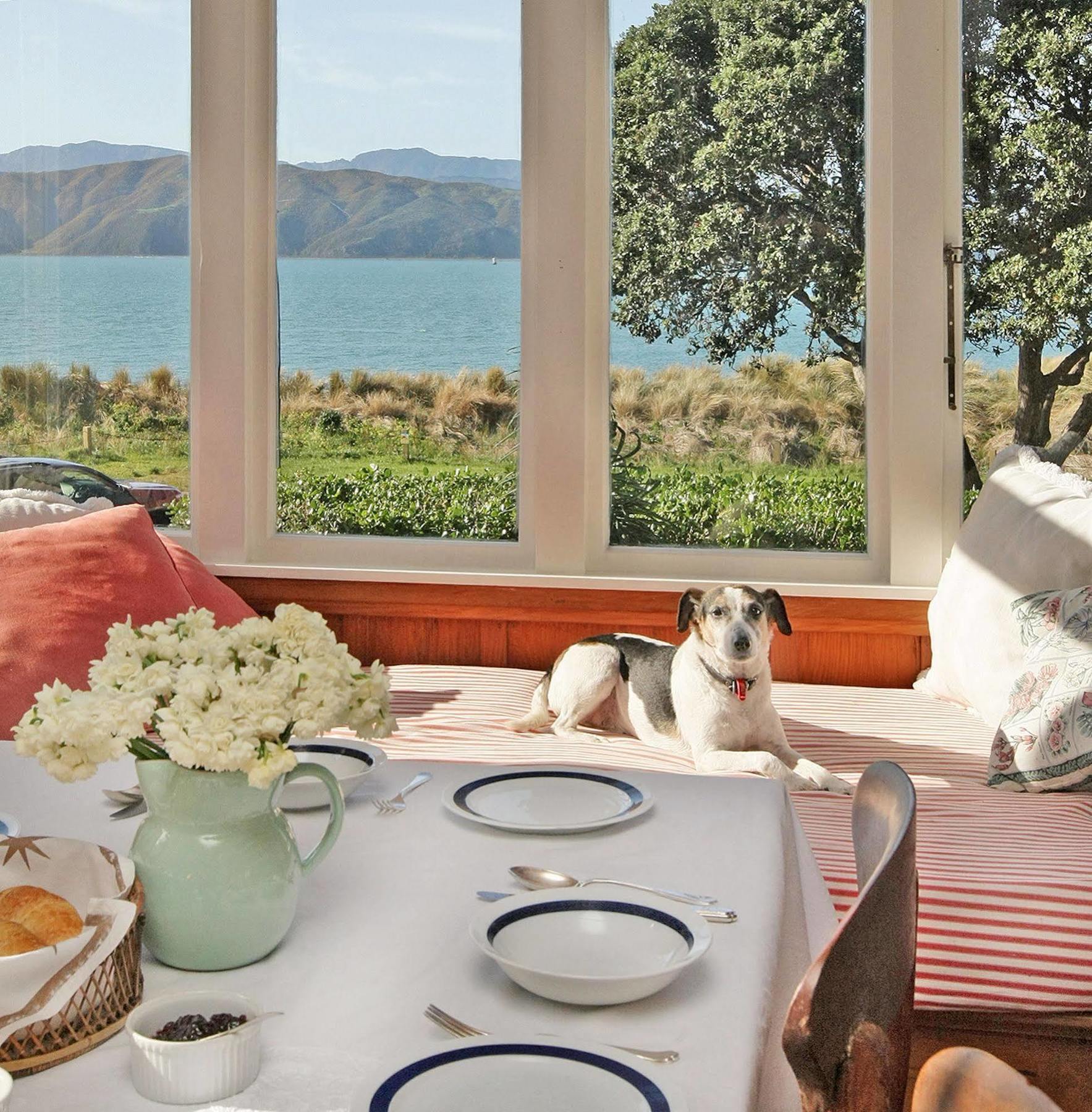 Beachfront Wellington Bed And Breakfast Екстер'єр фото
