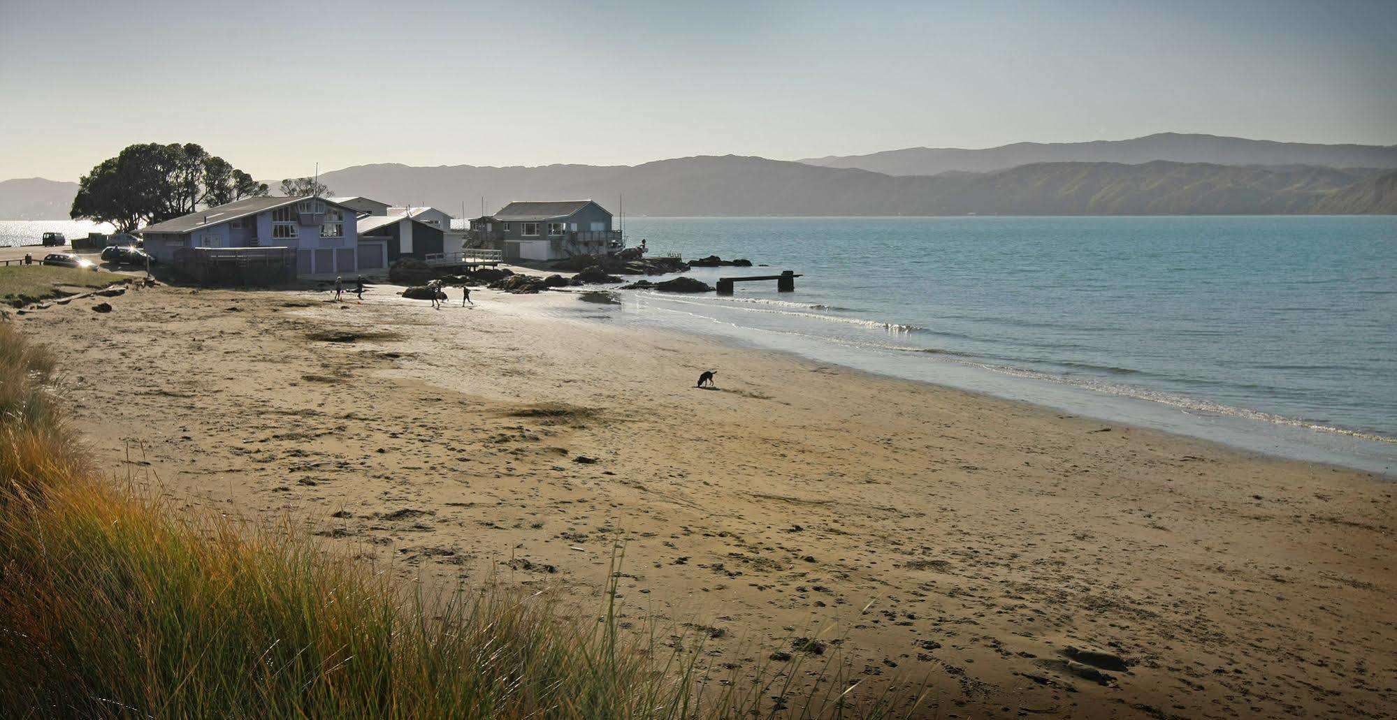 Beachfront Wellington Bed And Breakfast Екстер'єр фото